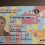 MARYLAND-AUSWEIS
