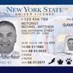 Führerschein des Staates New York