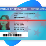 SINGAPUR-FÜHRERSCHEIN