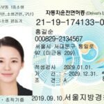SÜDKOREANISCHER FÜHRERSCHEIN