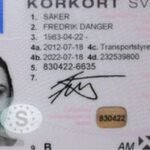 SCHWEDISCHER FÜHRERSCHEIN